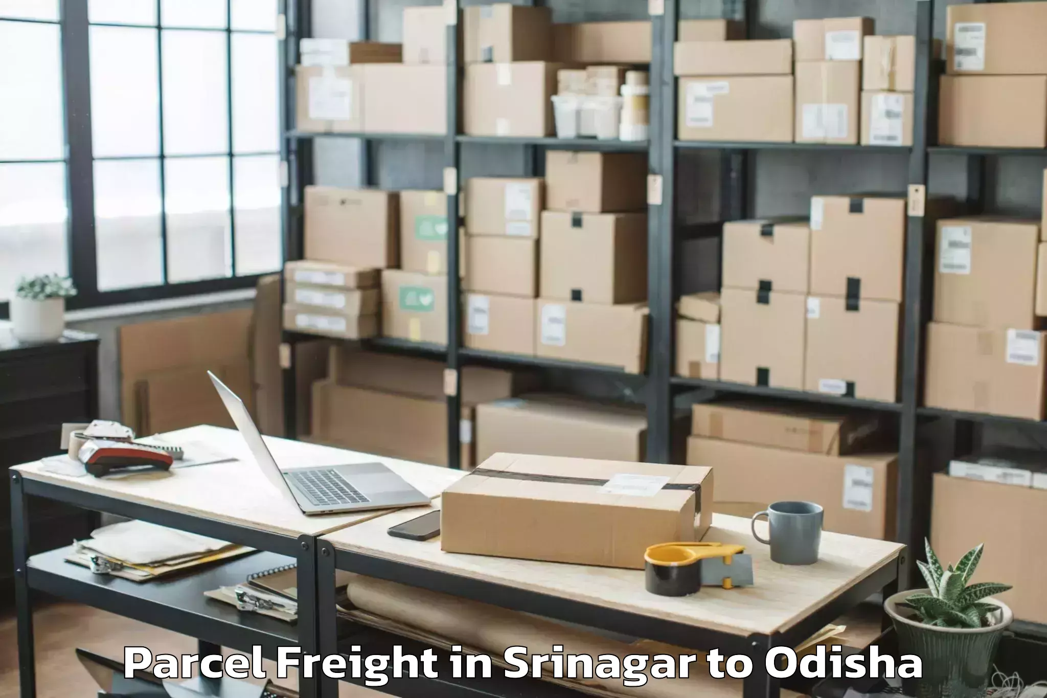 Get Srinagar to Burla Parcel Freight